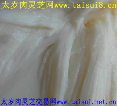 【 太岁 是 什么 价格】 太岁 是 什么 价格价格_ 太岁 